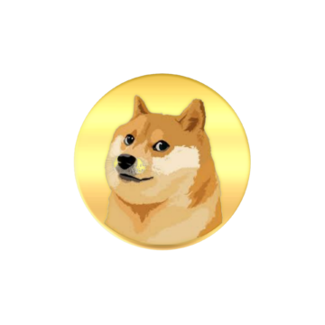 Should you still invest in Dogecoin?