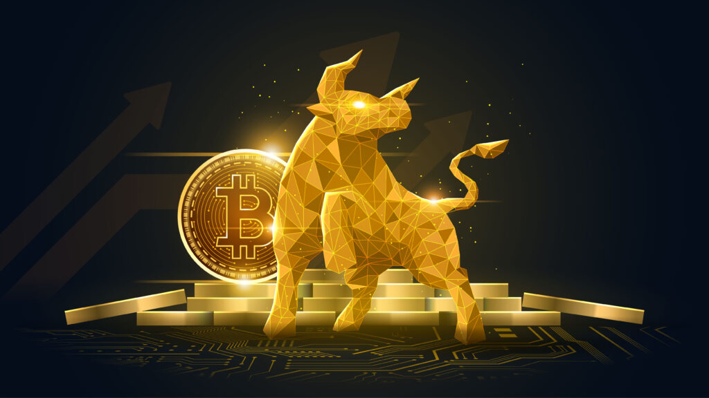Top 7 pieces of advice for first time Crypto Investors