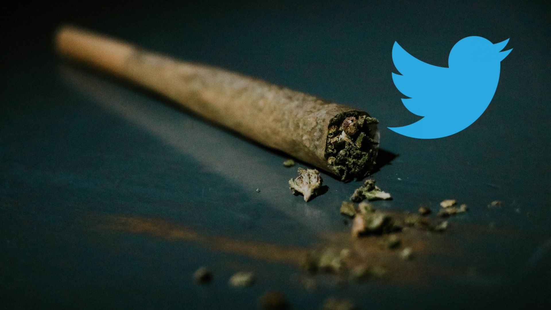 High Time: Twitter becomes the first social media platform to promote cannabis ads