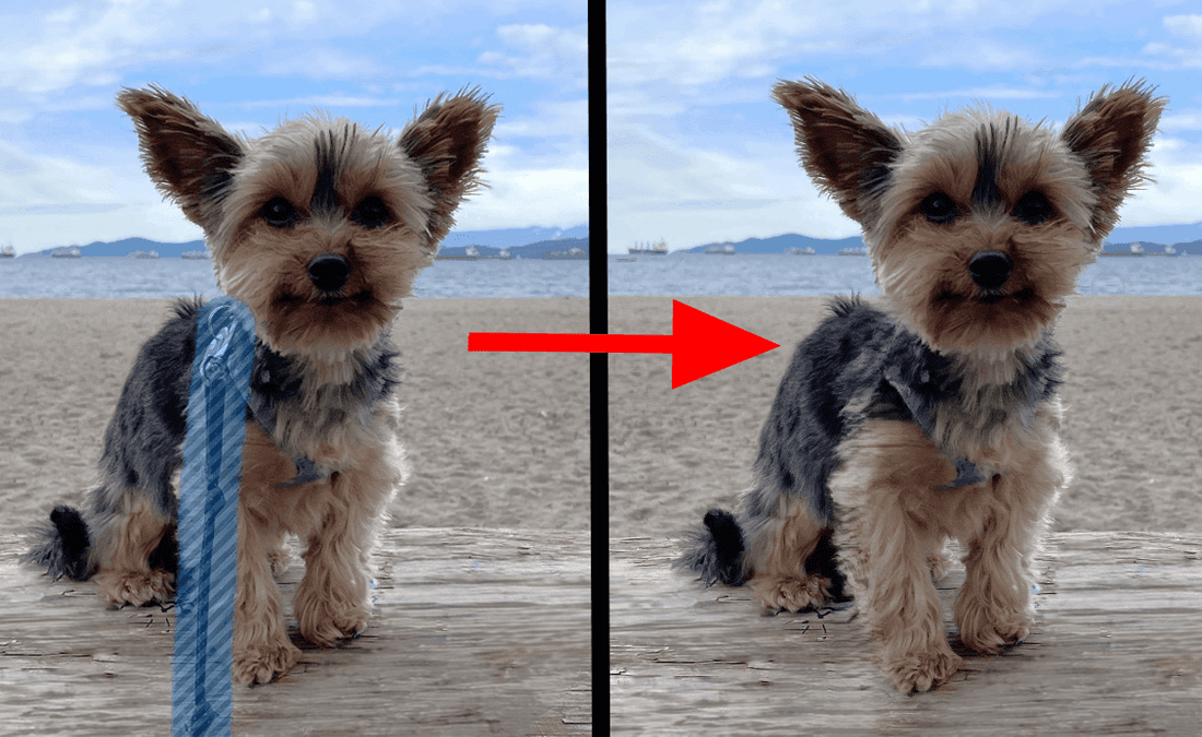 Windows gets image editing AI | Generative Erase them all!