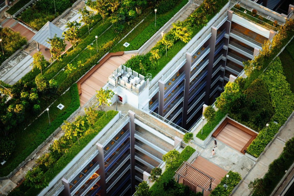 Biophilic Design