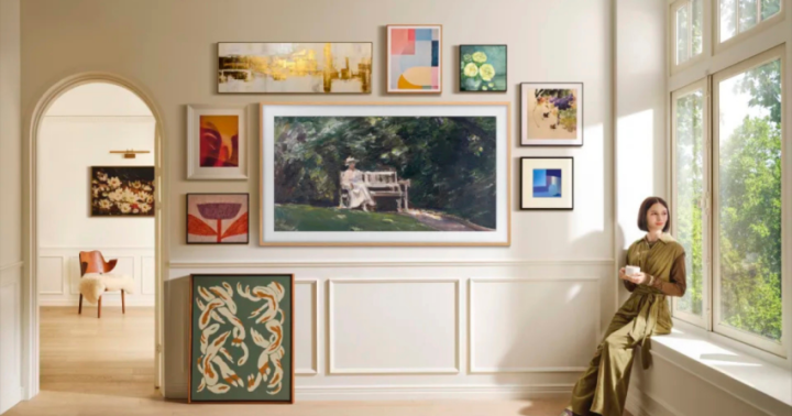 Samsung Frame Pro TV