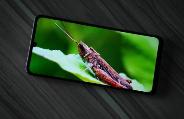 Front display of Lava Shark 5G showcasing the 6.75-inch screen