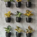 Nothing Phone (4a) Pro Sample Image