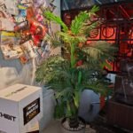 Samsung Galaxy A57 Sample Shot