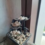 Samsung Galaxy A57 Sample Shot