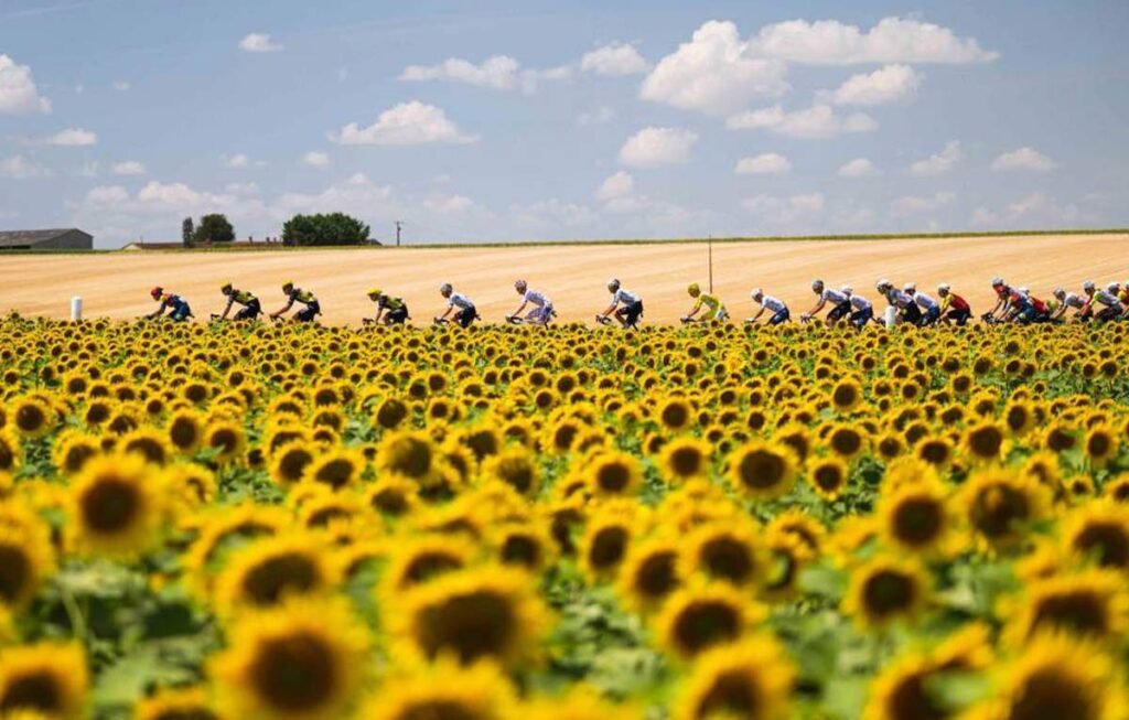 Tour-De-France-01