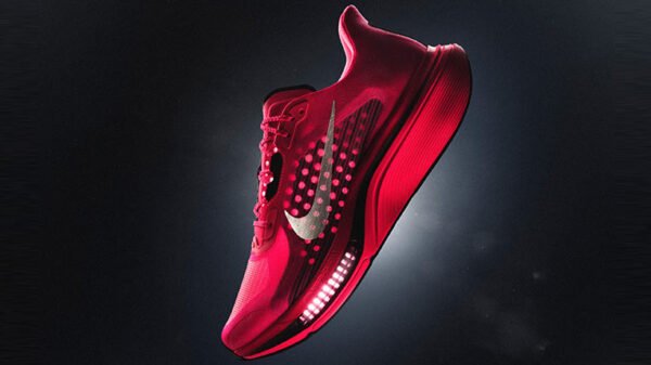 nike-pegasus-plus-2