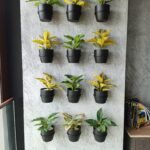 Infinix Hot 70 Pro Sample Photo